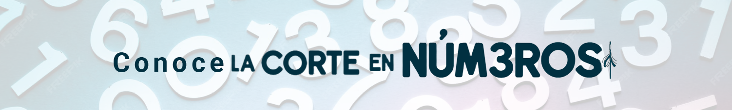 Consulta la secci�n de La Corte en N�meros.