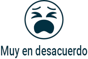 Opcin 5: Muy en desacuerdo